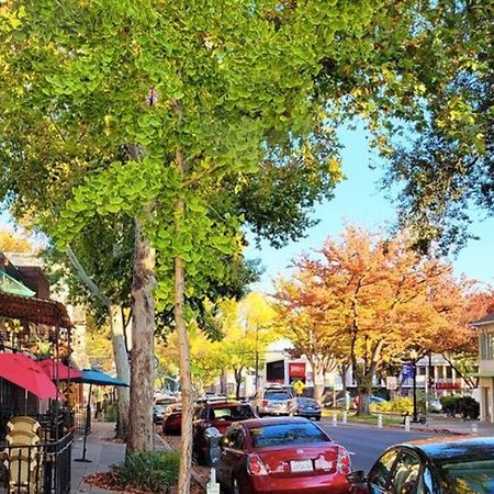 Artist'S Retreat Near The Heart Of The City Sacramento Exterior photo