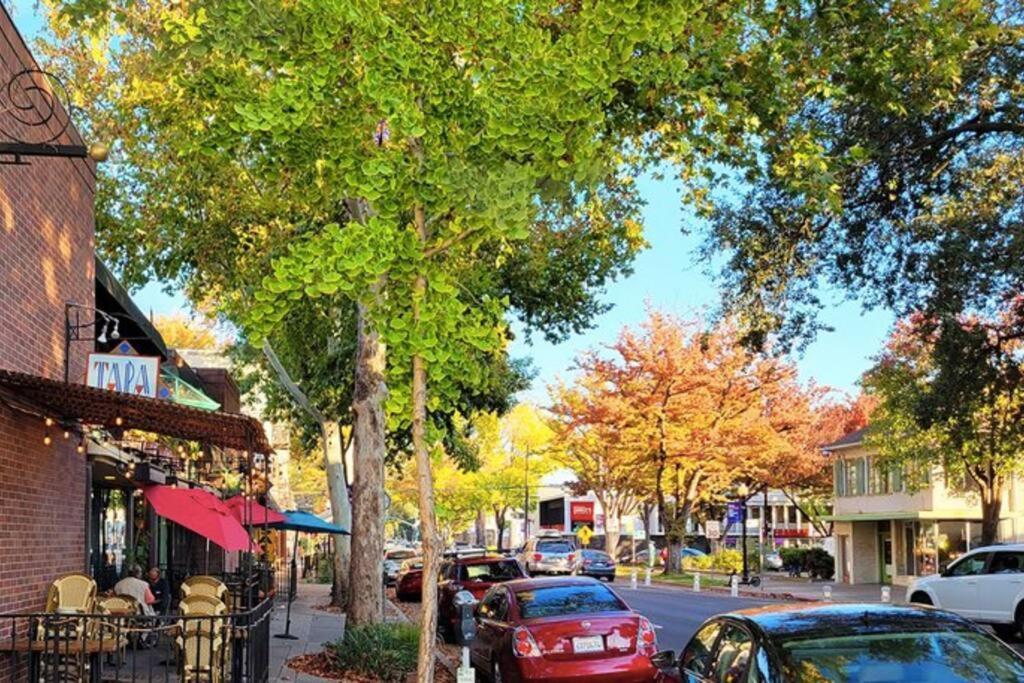 Artist'S Retreat Near The Heart Of The City Sacramento Exterior photo