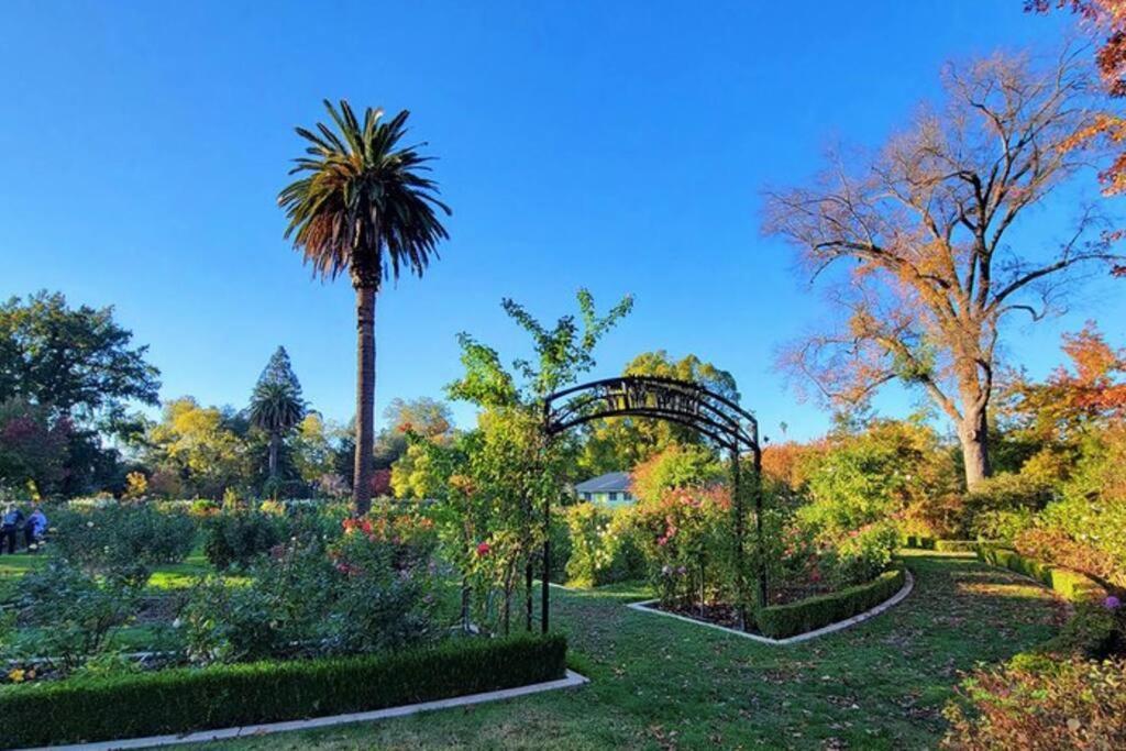 Artist'S Retreat Near The Heart Of The City Sacramento Exterior photo